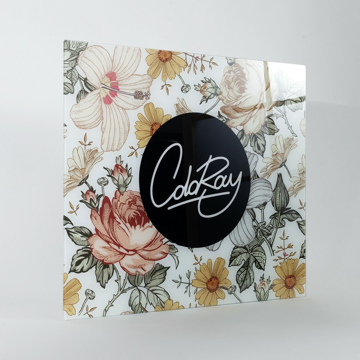 dog&co 　POINT-H Zgardă electronică pentru câini SportDog 800 m Trainer | ABC-ZOO