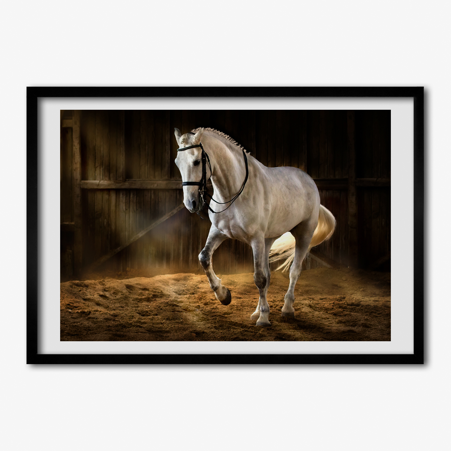 Tulup Bild MDF-gerahmte Wand-Dekor 100x70cm Weißes Pferd im Stall