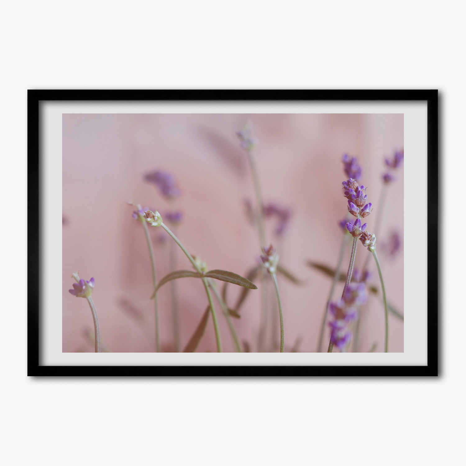 Tulup Bild MDF-gerahmte Wand-Dekor 100x70cm Lavendel