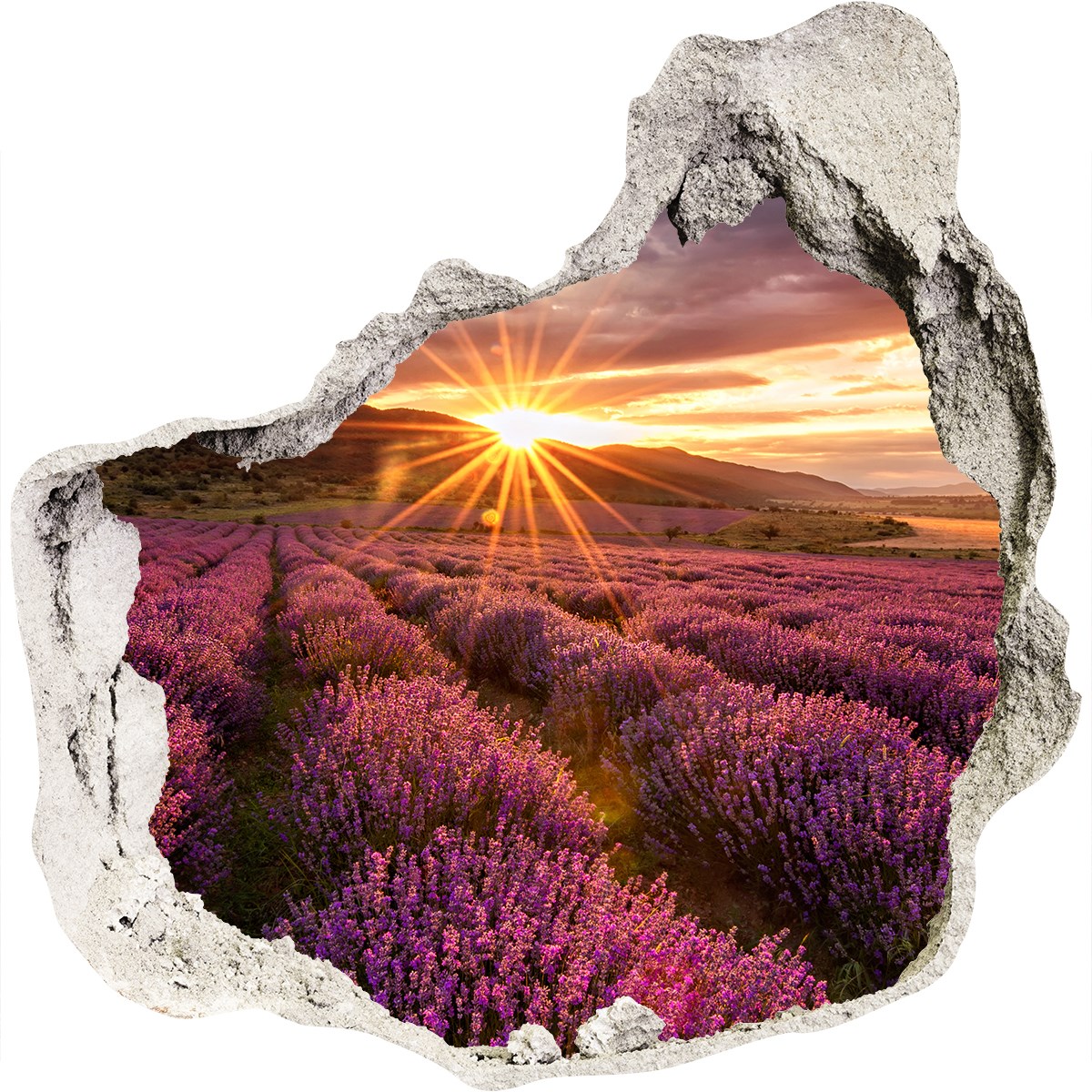 Landschaft Lavendelfeld Fototapete Tapete Wandbilder Selbstklebender Poster 