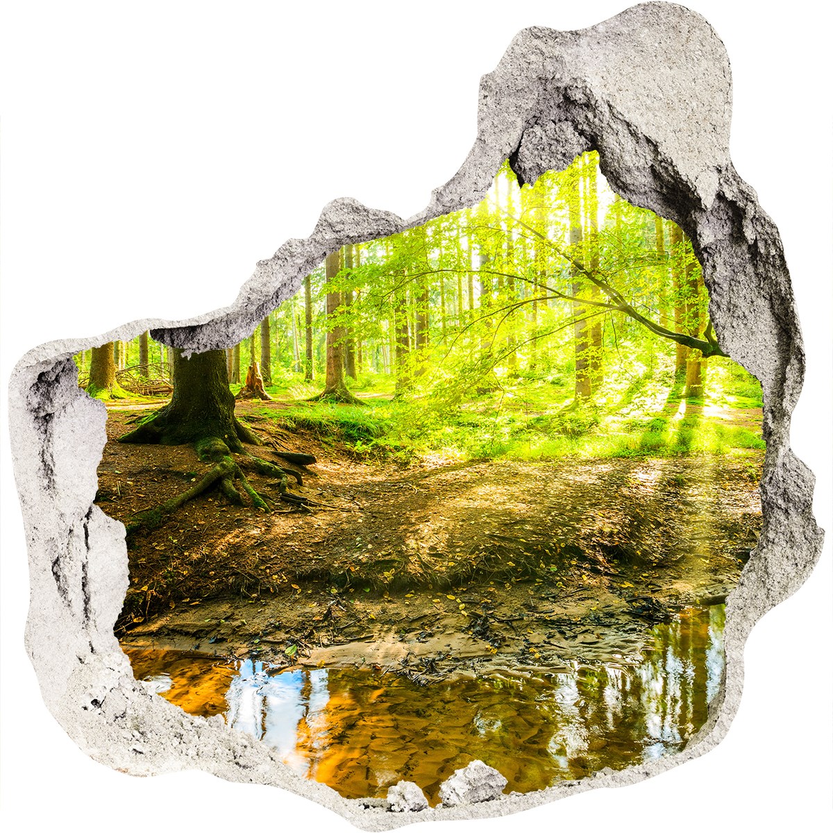 Wandtattoo Wandsticker Wandaufkleber 3D Effekt Dekoration 75x75 cm Teich im Wald