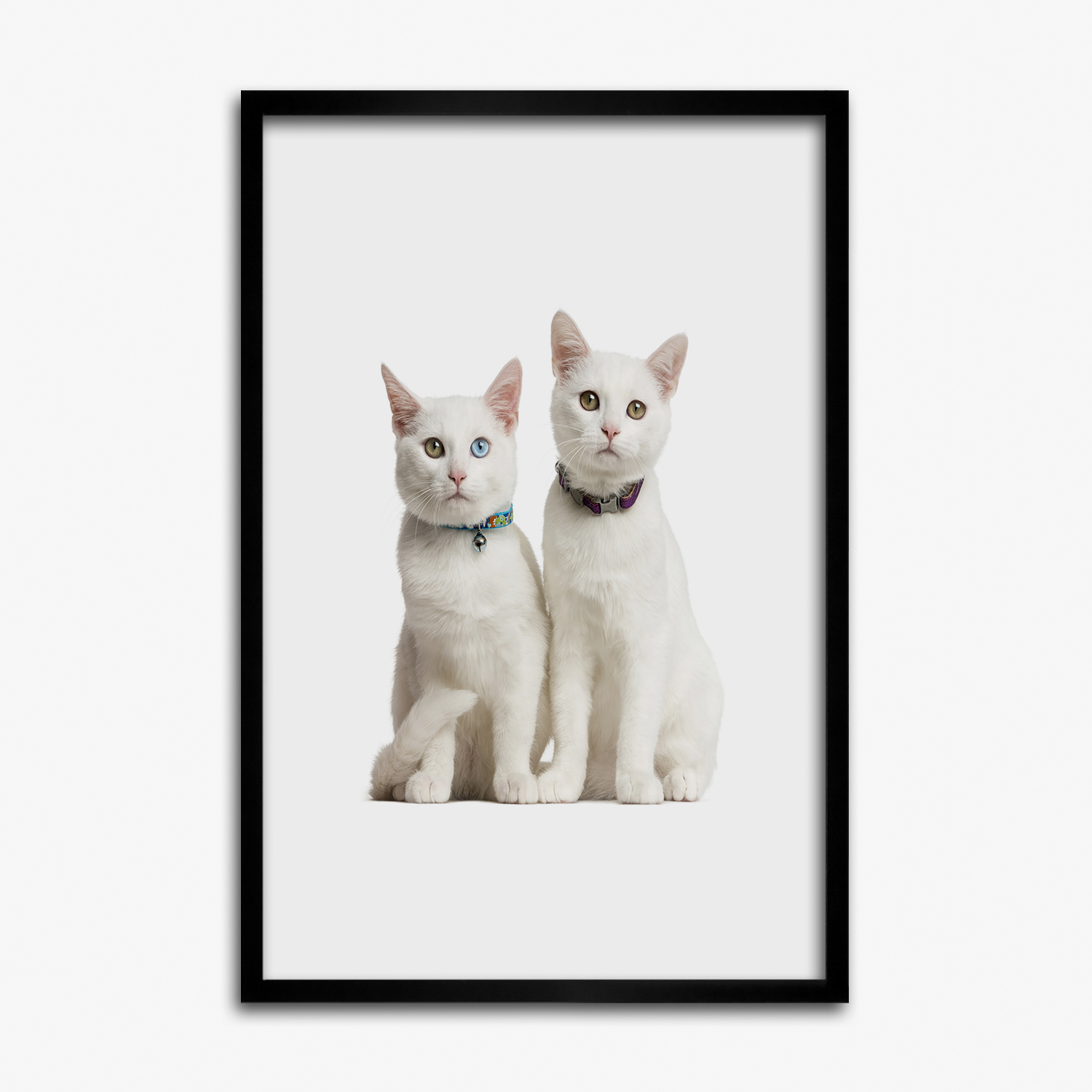 Tulup Foto auf MDF Wanddekoration Kunst Wohnzimmer 40x60cm Zwei weiße Katzen