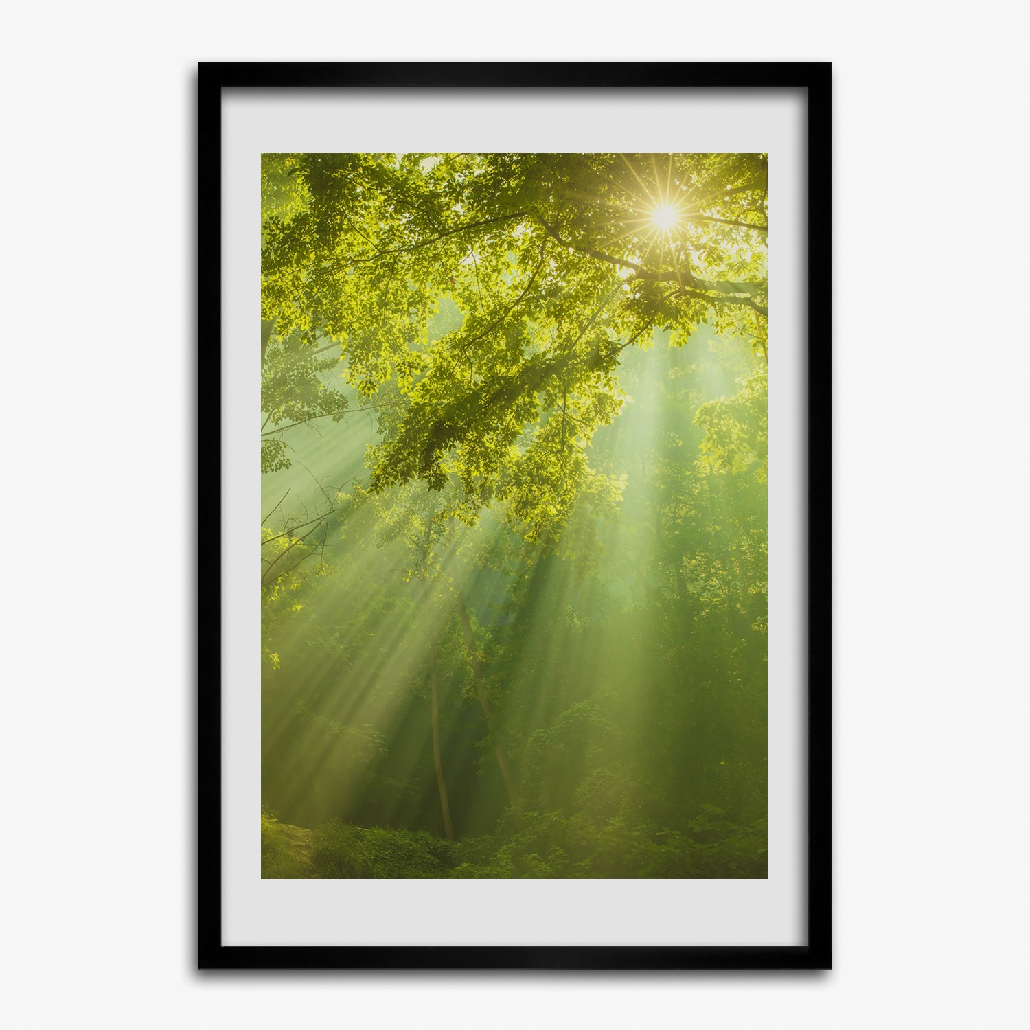 Tableau Décoratif Forêt Tropicale – Cadre MDF 50x70 Cm – Vert – Tulup