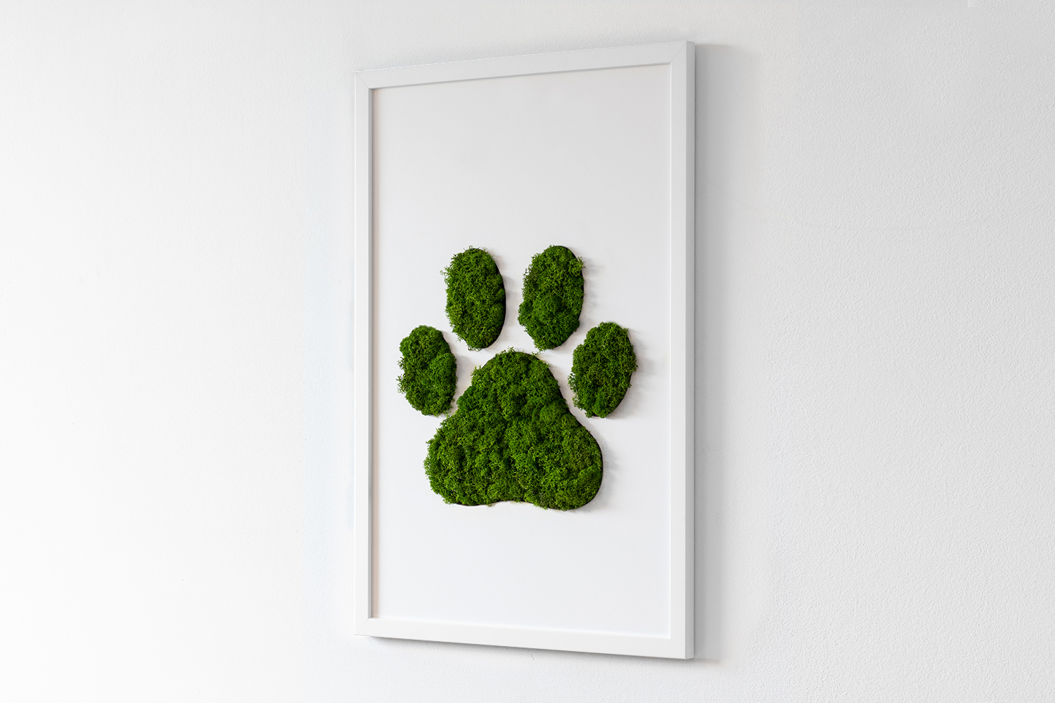 Obraz z mchem w ramce MDF