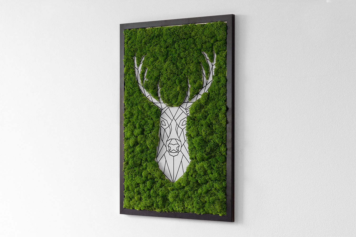 Obraz z mchem w ramce MDF