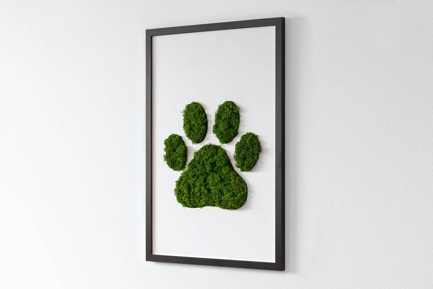 Obraz z mchem w ramce MDF