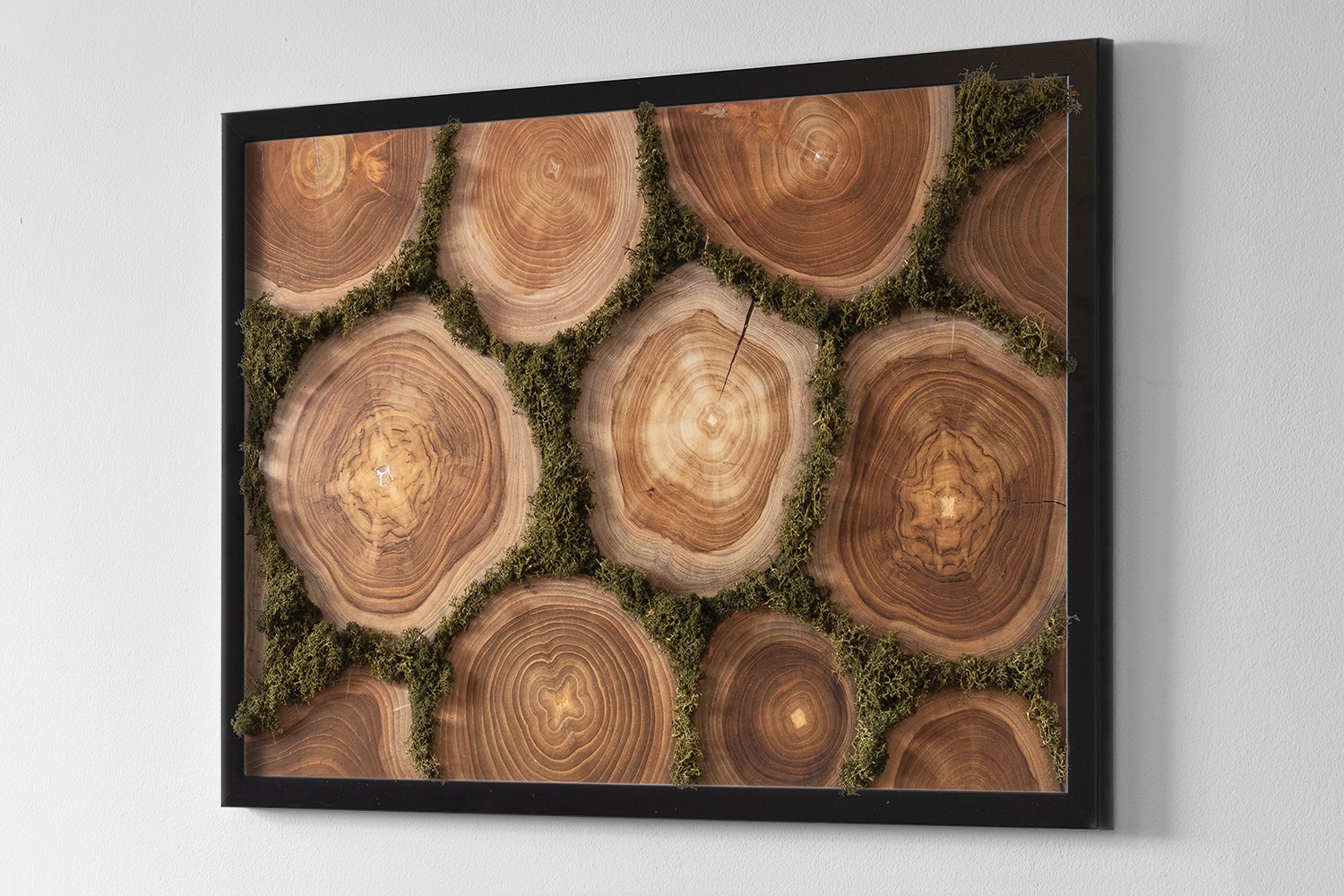 Obraz z mchem w ramce MDF