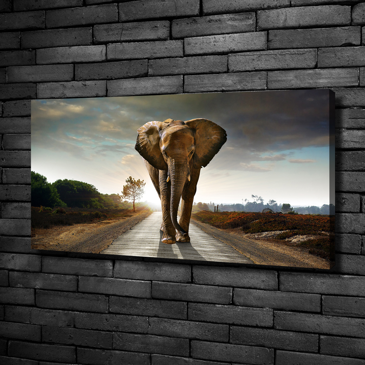 Arte de La Pared Pintura en Lienzo Decoración 100x50 Elefante para pasear