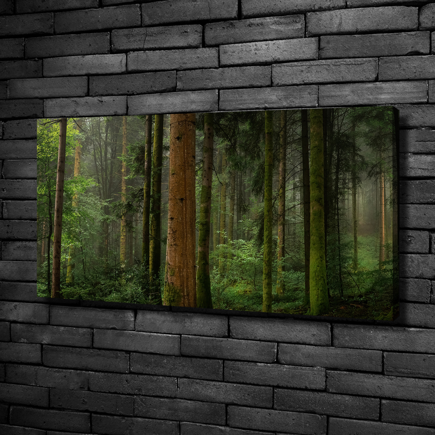 Pintura de La Pared Para Salón Decoración del Hogar 100x50 Niebla en el bosque