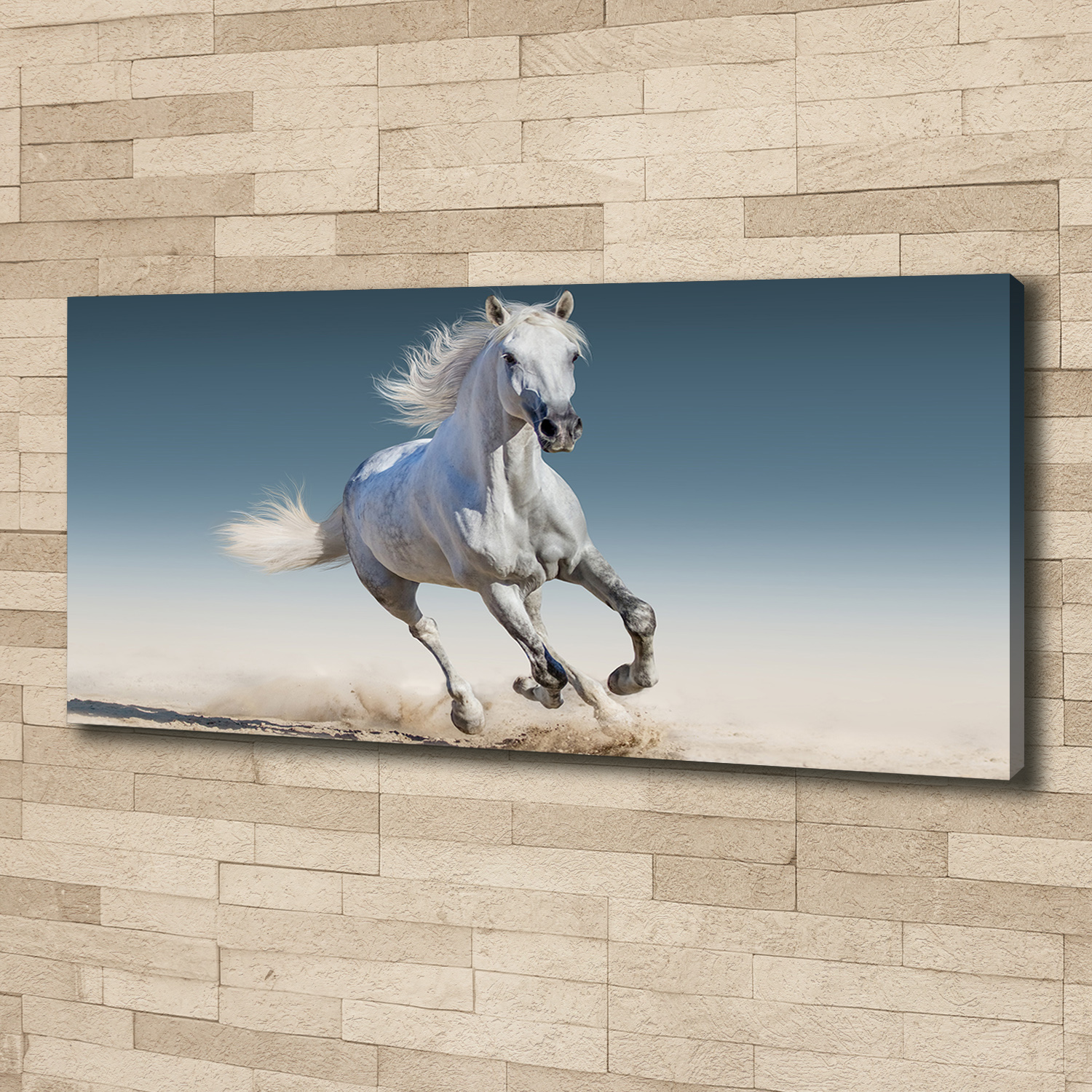 Cuadros Modernos Sobre Lienzo Para el Salón 125x50 Caballo blanco en galope