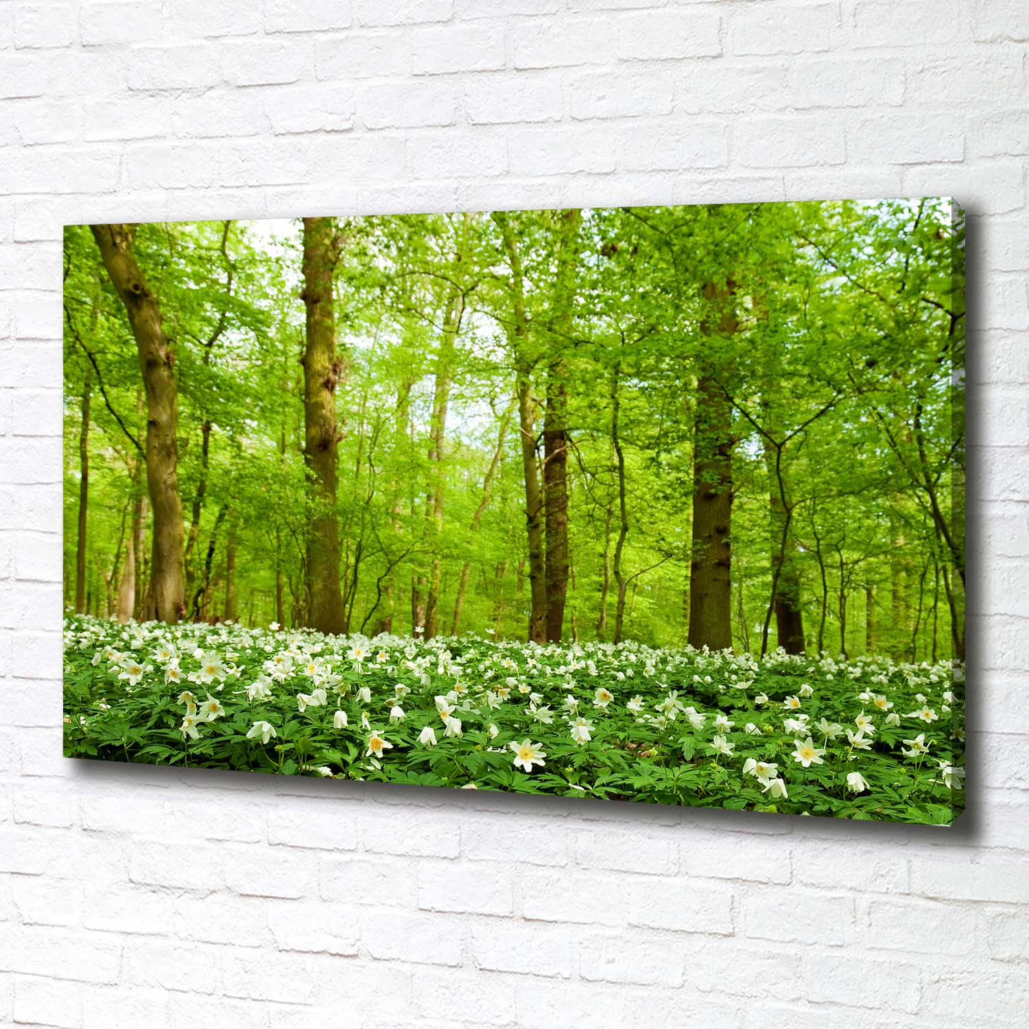 Pintura de La Pared Para Salón Decoración del Hogar 100x70 Flores en el bosque