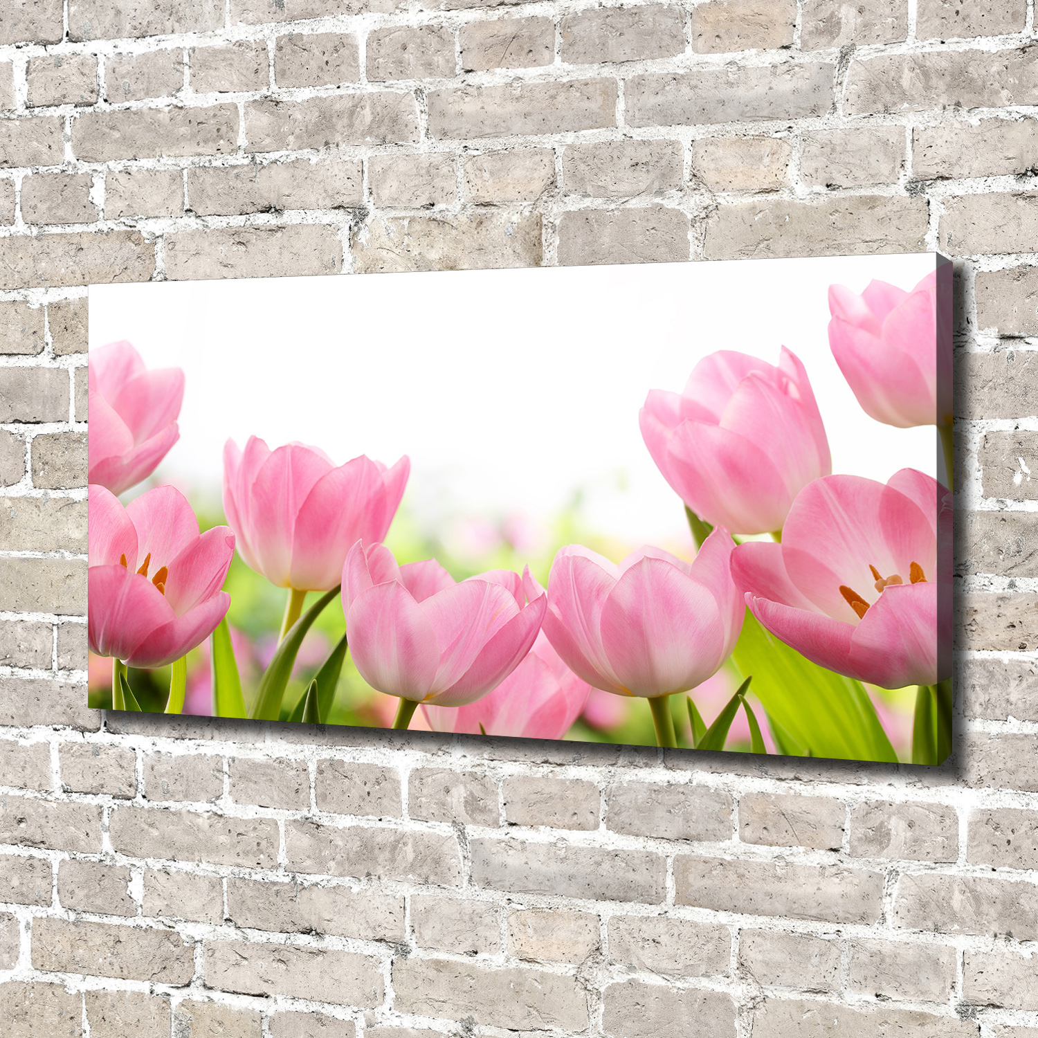 Los Mejores Cuadros Modernos para Decorar el Salón 140x70 Tulipanes rosados