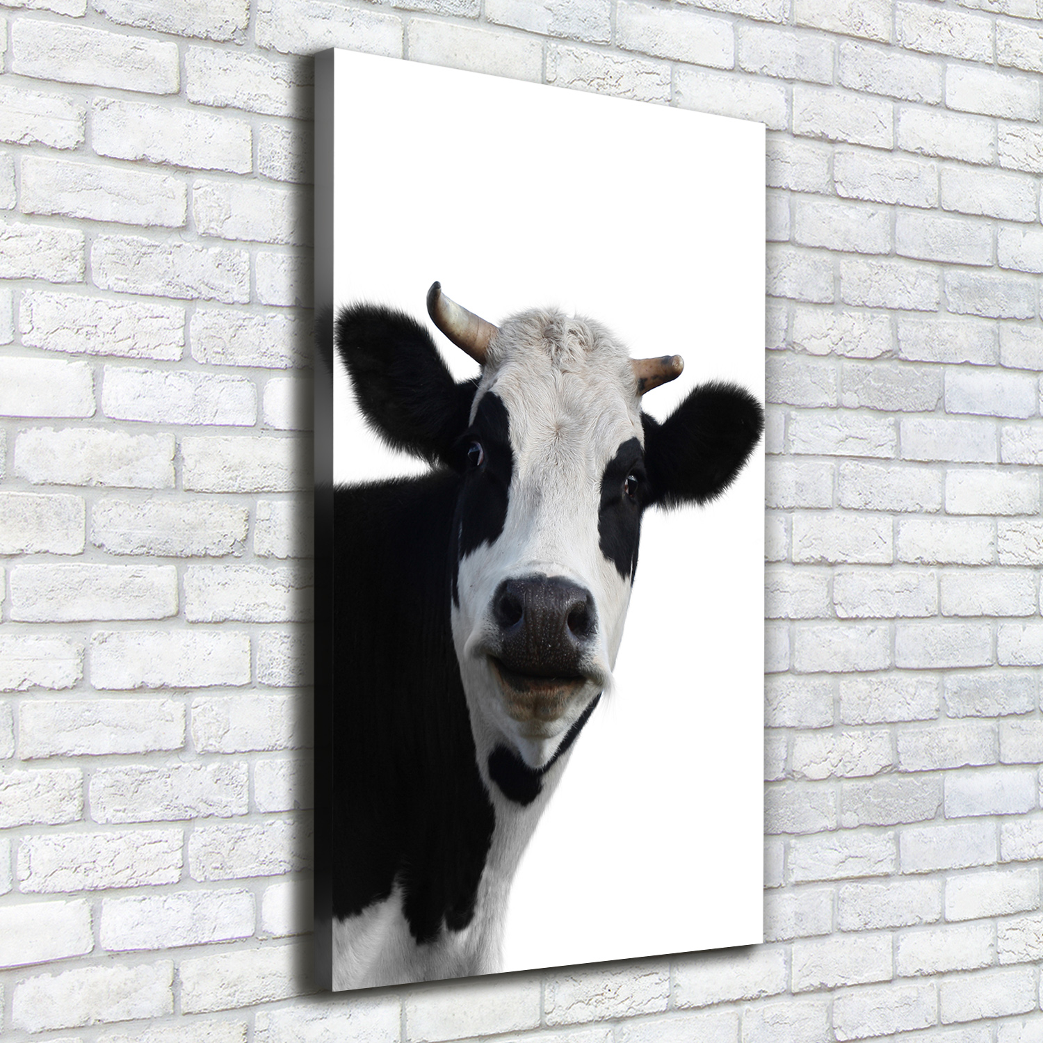 Pintura de La Pared Para Salón Decoración del Hogar 50x100 Una vaca criada