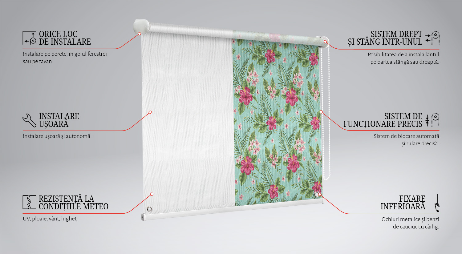 Dlaczego warto wybrać nasz produkt