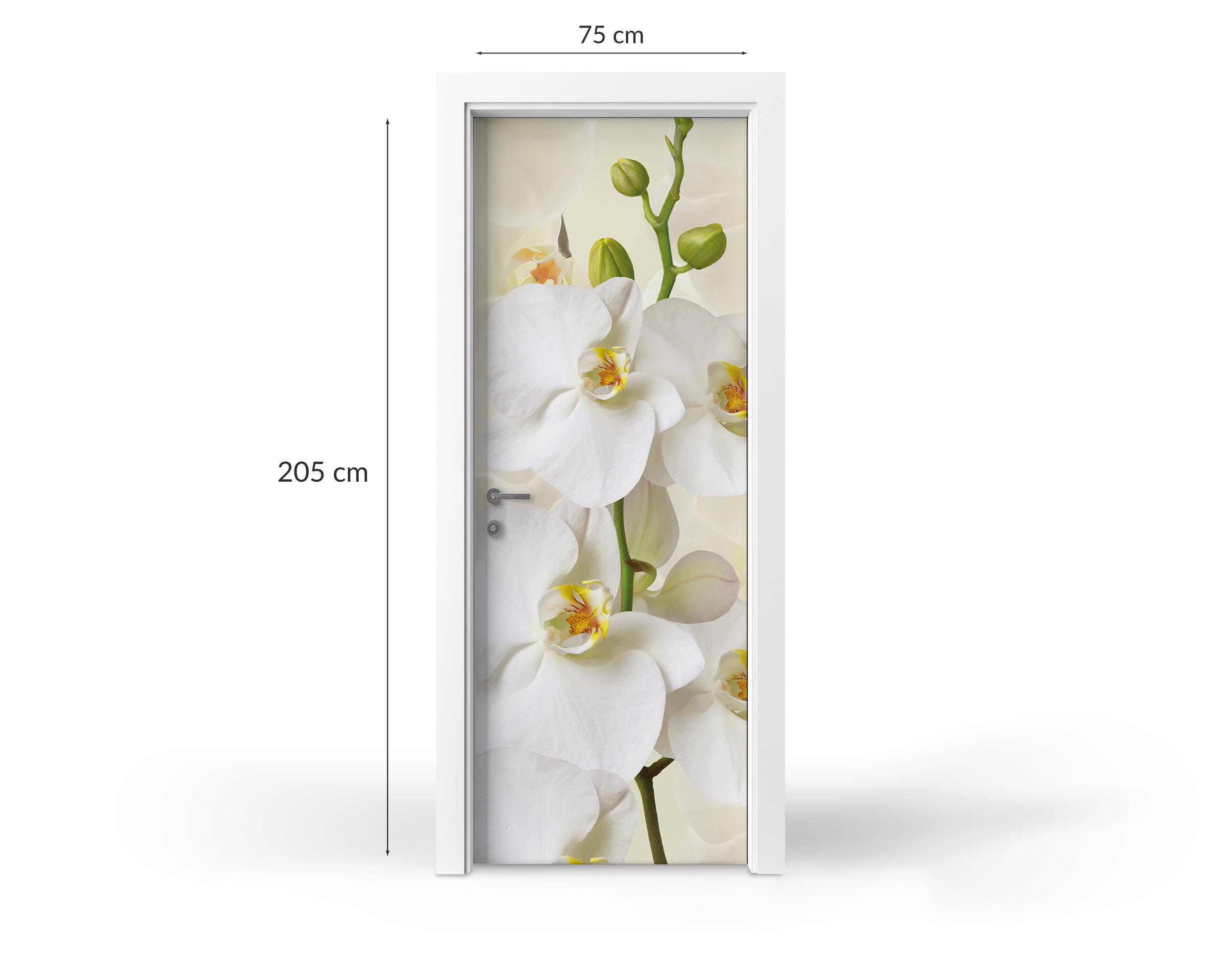 Naklejka na drzwi - różne motywy