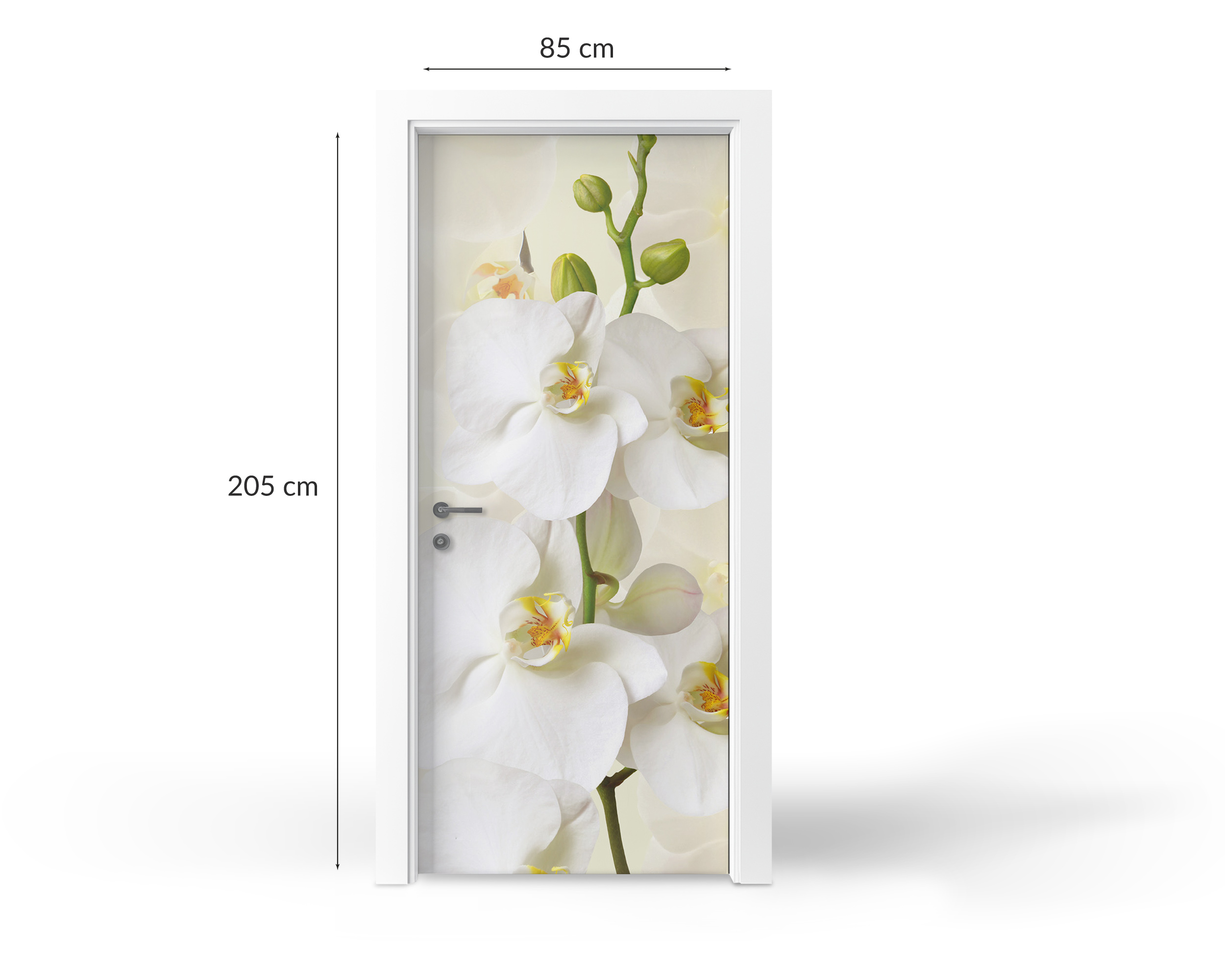 Naklejka na drzwi - różne motywy