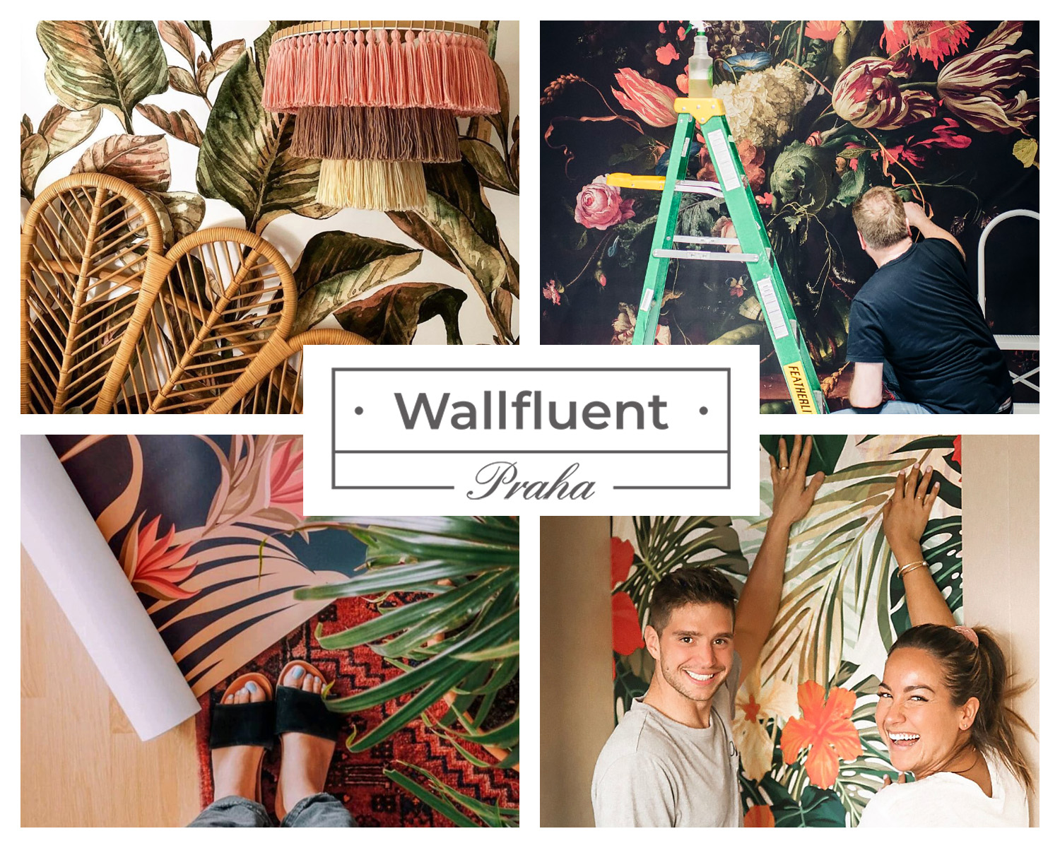 VIZUALIZARE SUPLIMENTARA