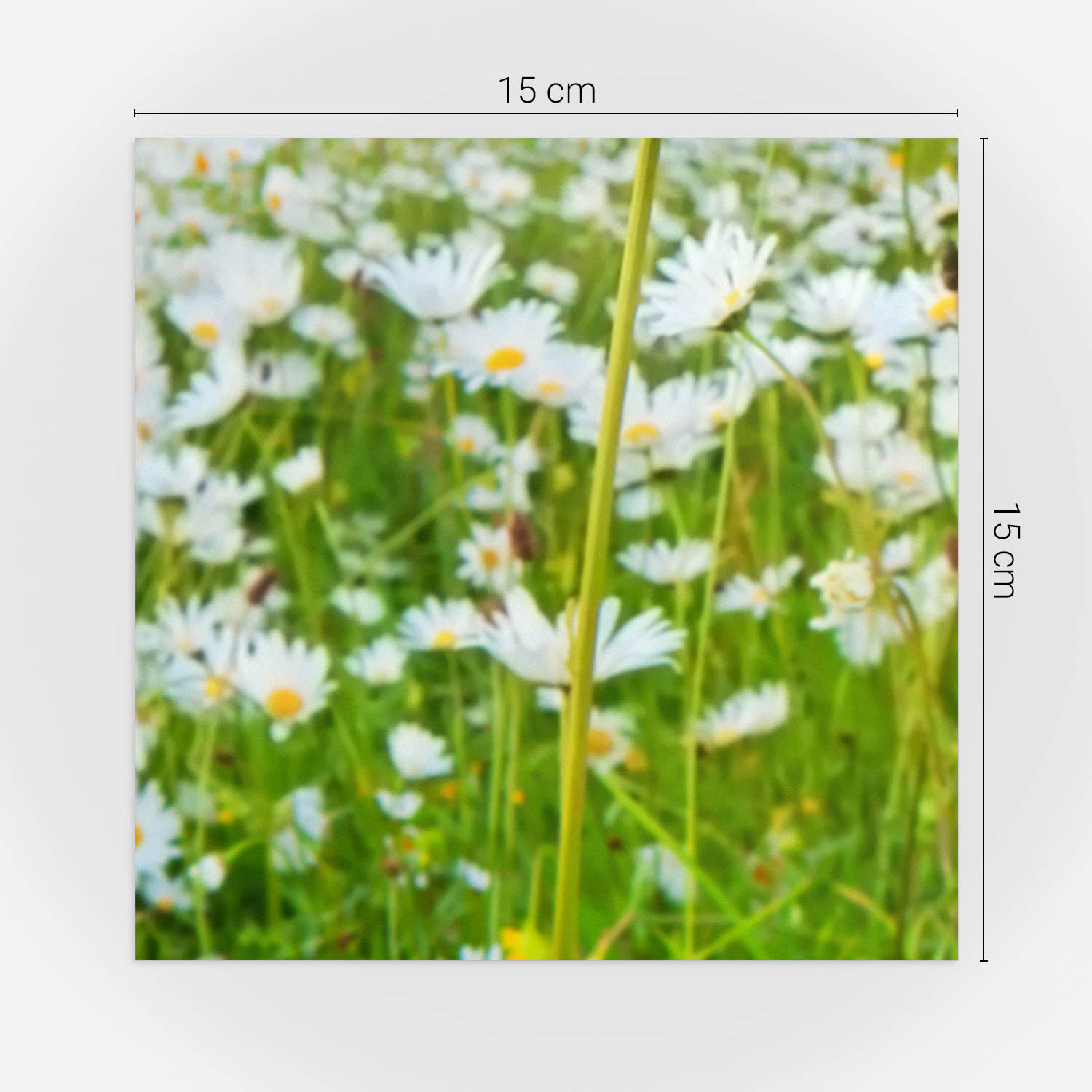 DODATKOWA WIZUALIZACJA 1