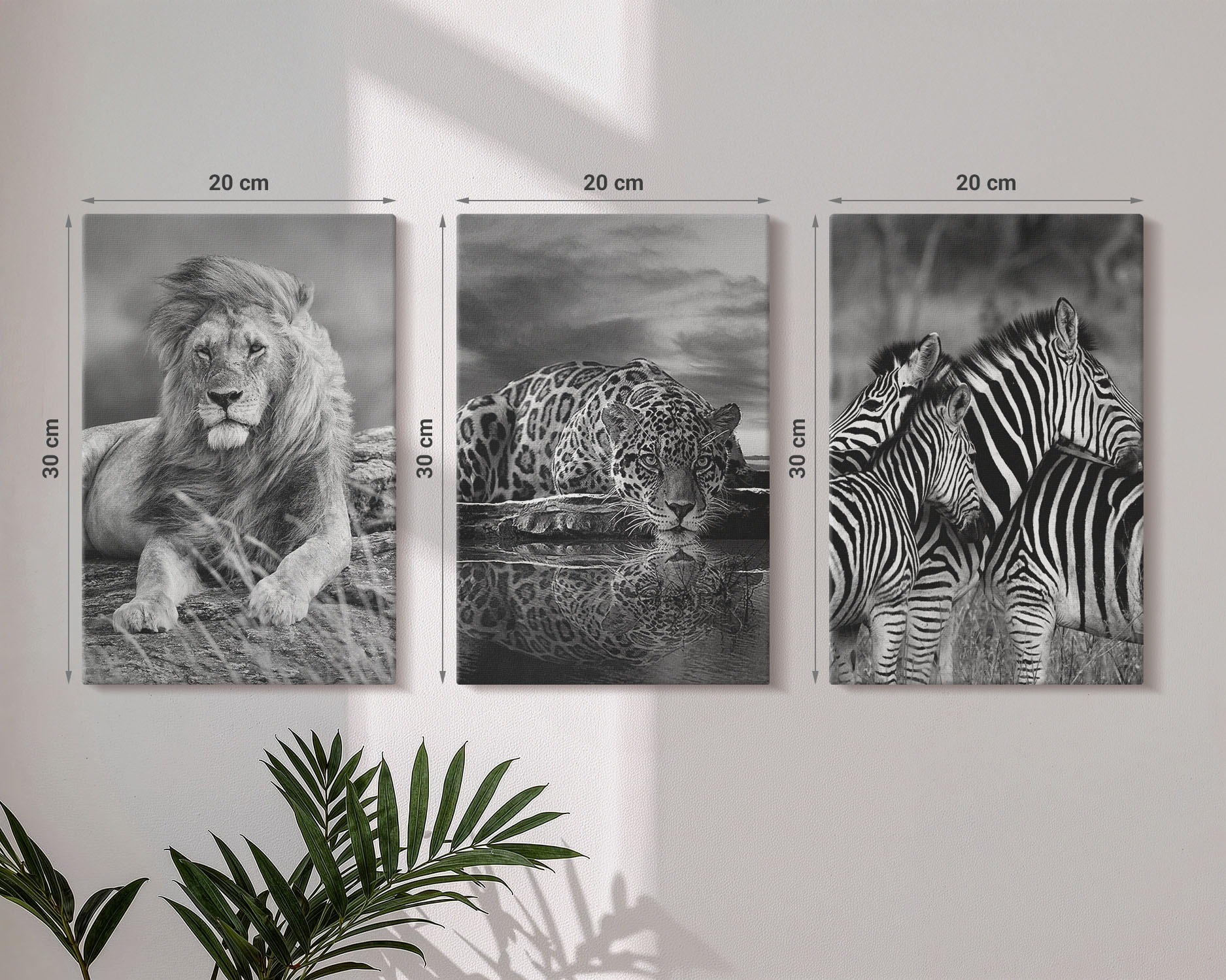 Zestaw 3 obrazów 20x30